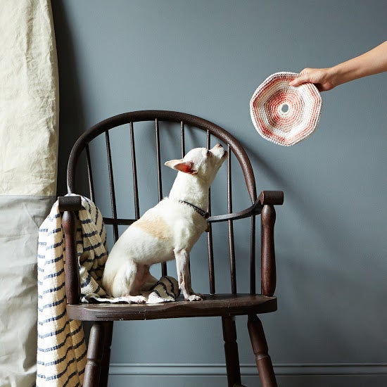 Food52-Spanky