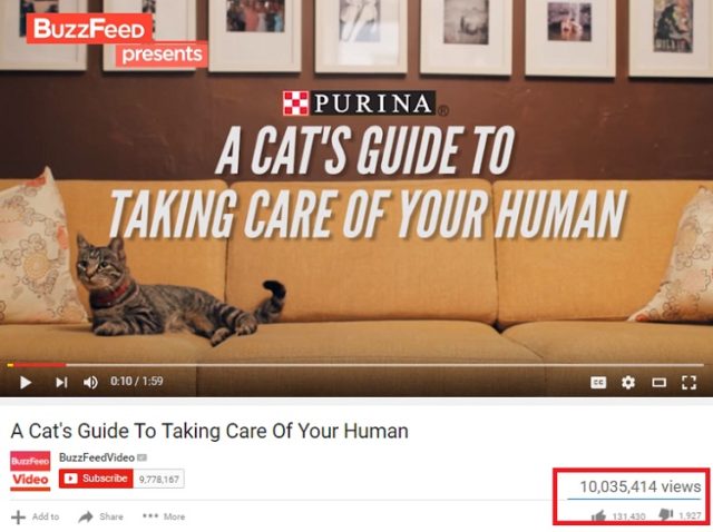 buzzfeed-video-sample