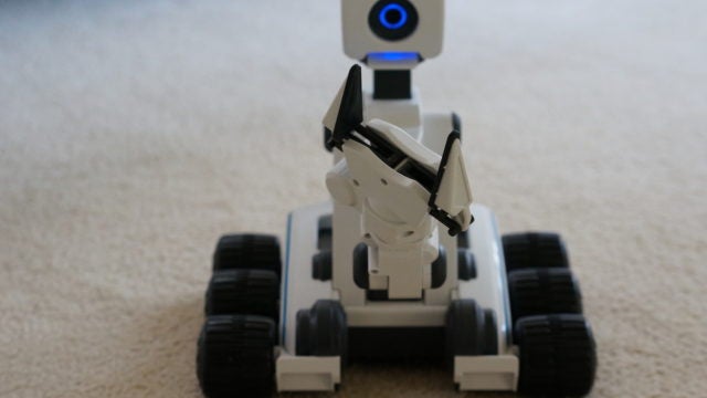 Mebo