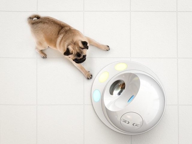 CleverPet