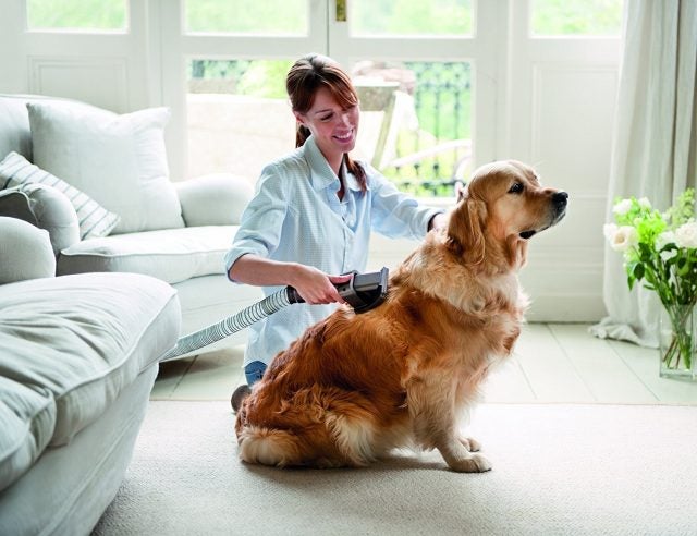 Dyson Groom Tool Vaccum-Assisted Dog Groomer