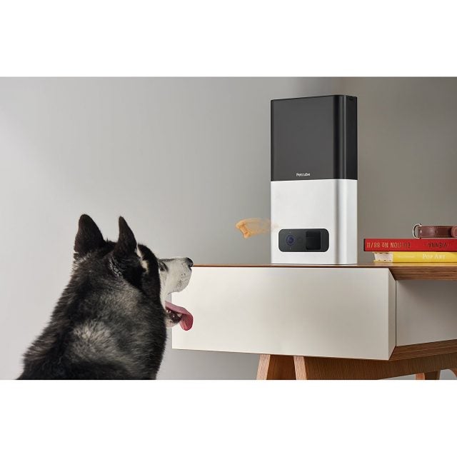 PetCube