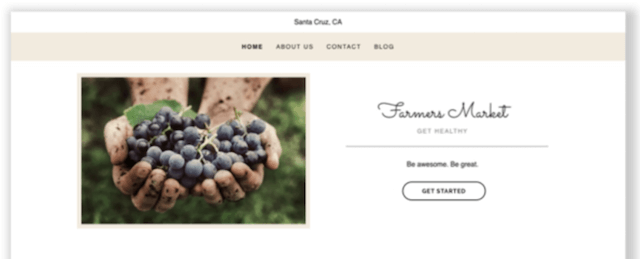 GoDaddy Organic Theme