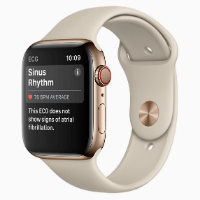 apple watch series 4