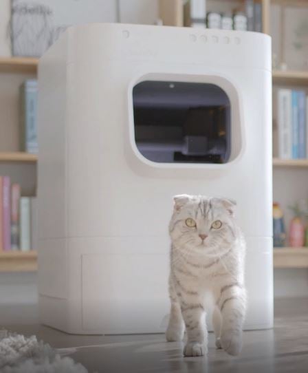 Smart cat toilet