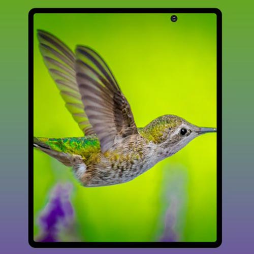 galaxy fold 2 front camera ice universe