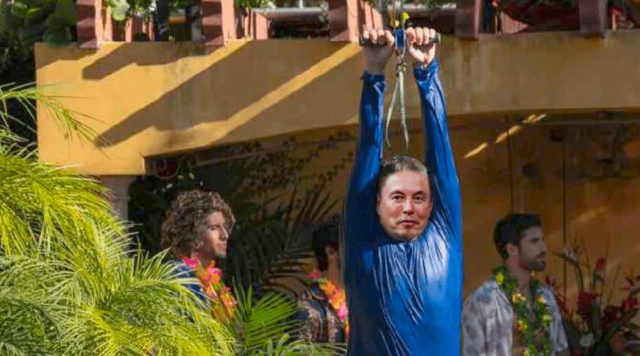 Elon Musk on a zipline