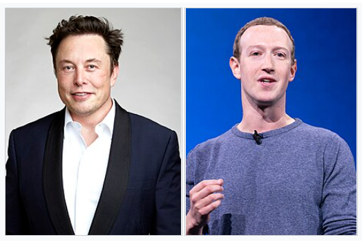 elon musk and mark zuckerberg